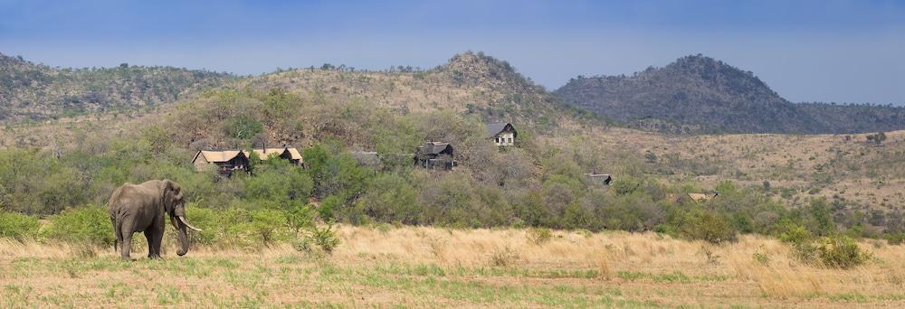 Tshukudu Bush Lodge Ledig Exterior foto